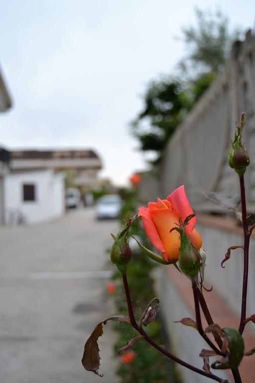 Il Girasole Formia Guesthouse Rooms Luaran gambar