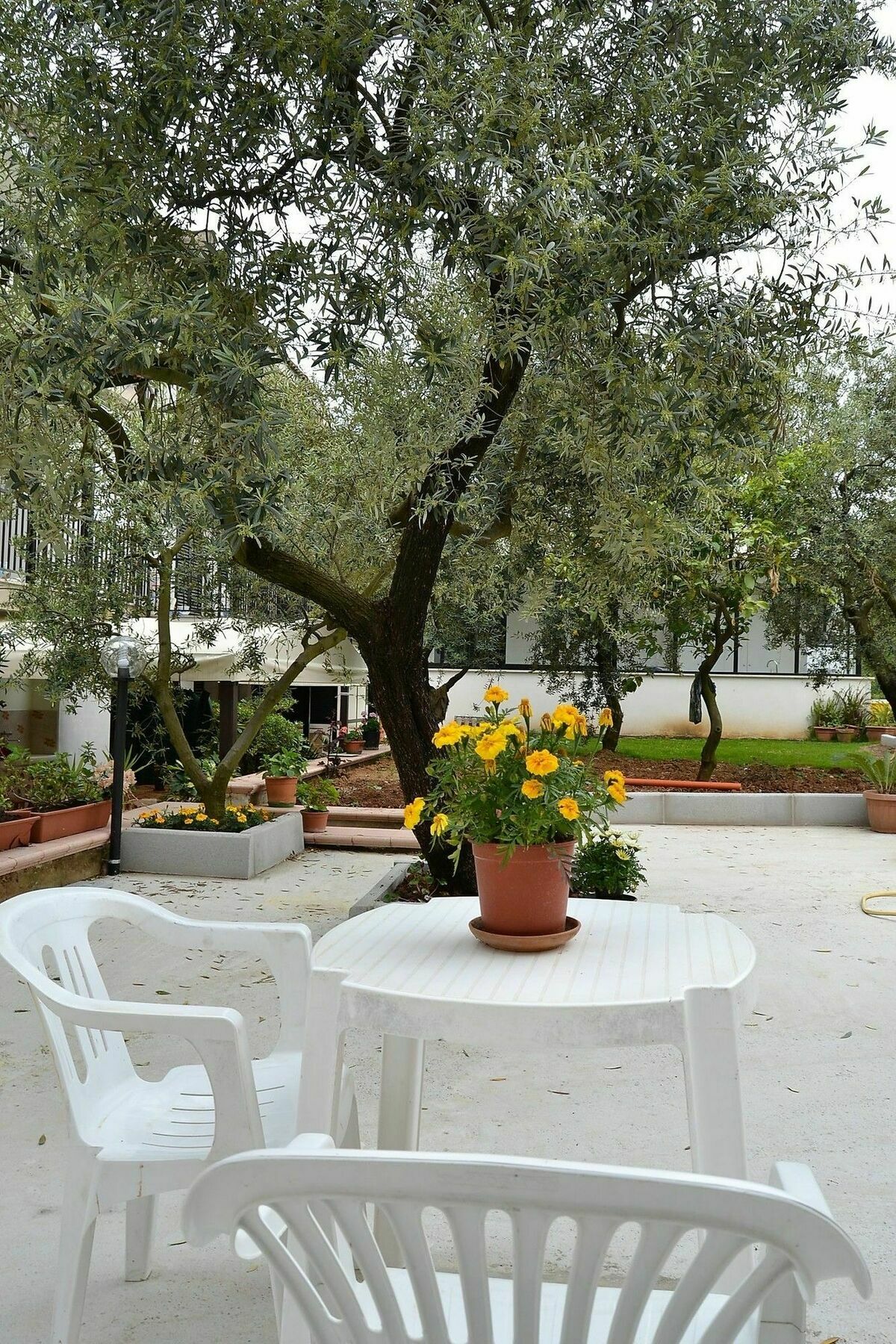 Il Girasole Formia Guesthouse Rooms Luaran gambar